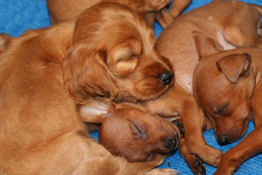 Editorial: June 6, 2025